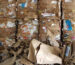 Paper scrap yard near me